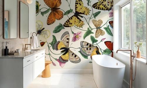 Butterfly & Moths
