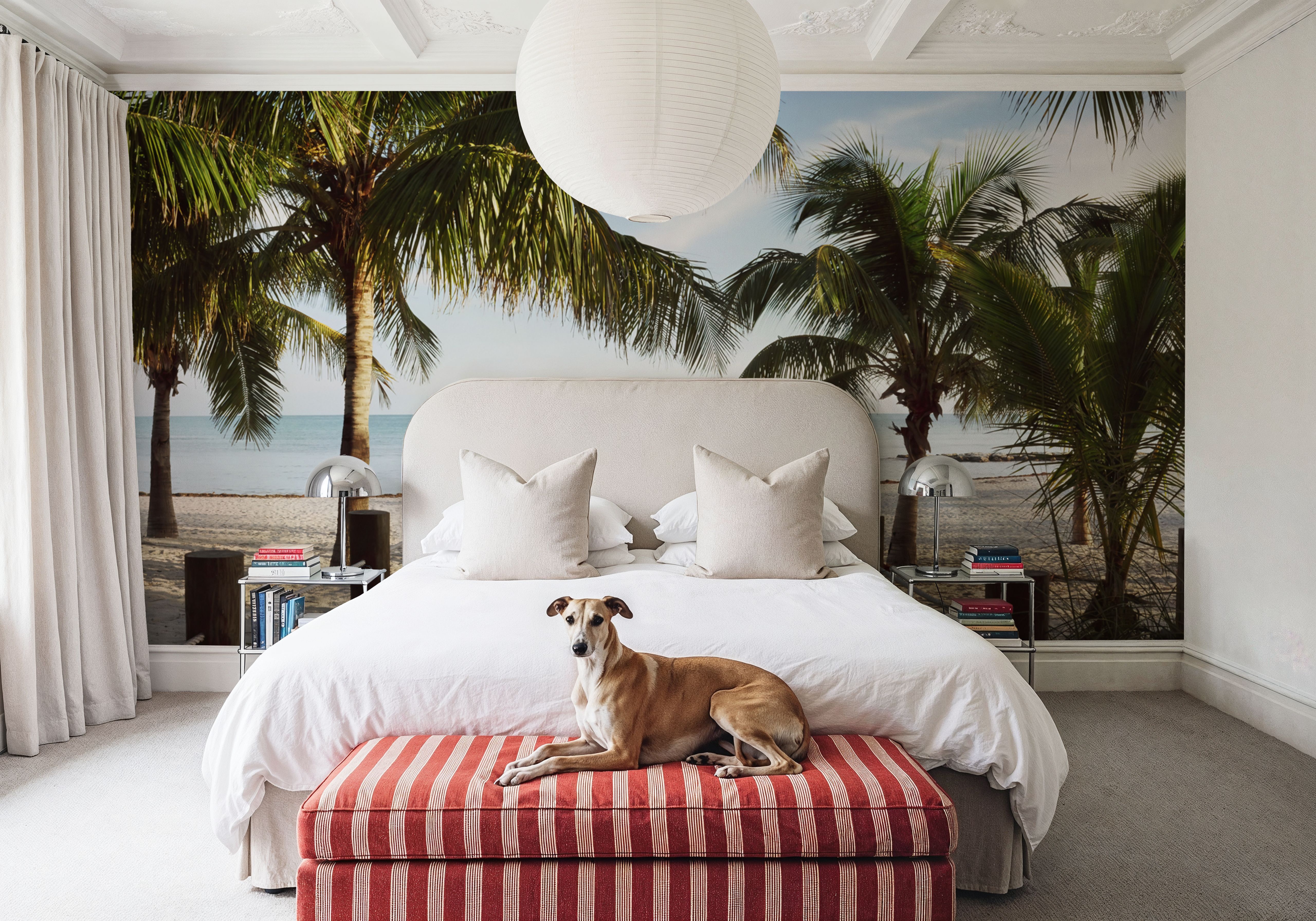 Tropical Pathway, Wallpaper