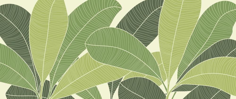 70s Monstera