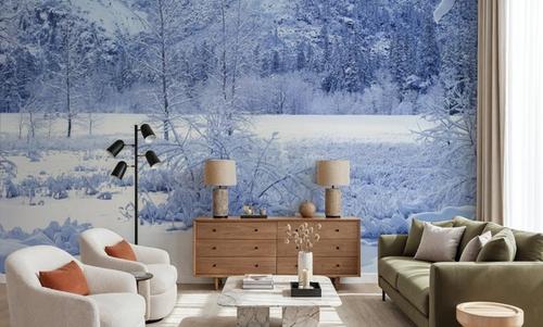 Frozen Serenity