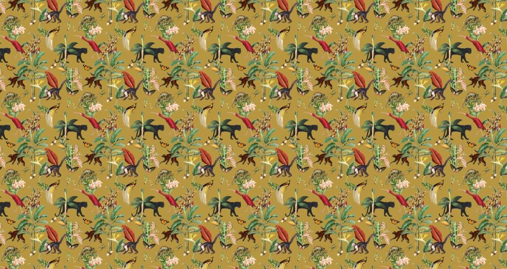 Kingdom Animalia Ochre