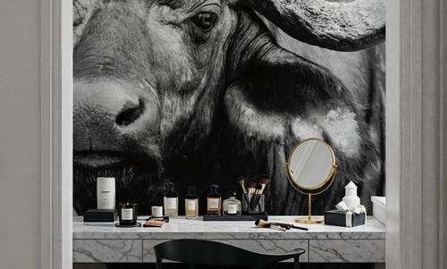 African Buffalo