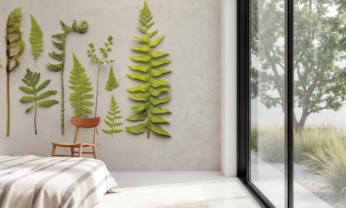 Flat Lay Ferns II