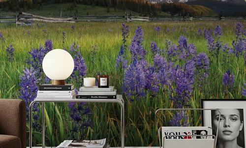 Camas Meadows in Idaho