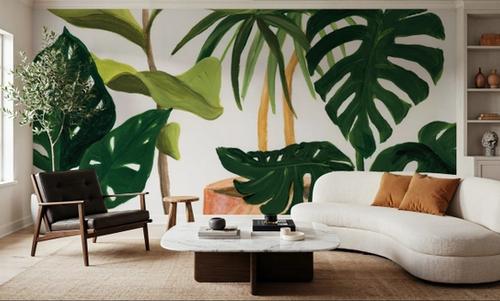 Potted Plants