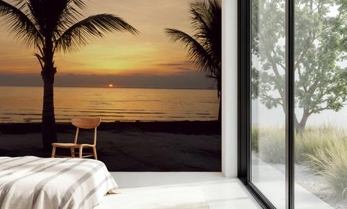 Sunset Palms