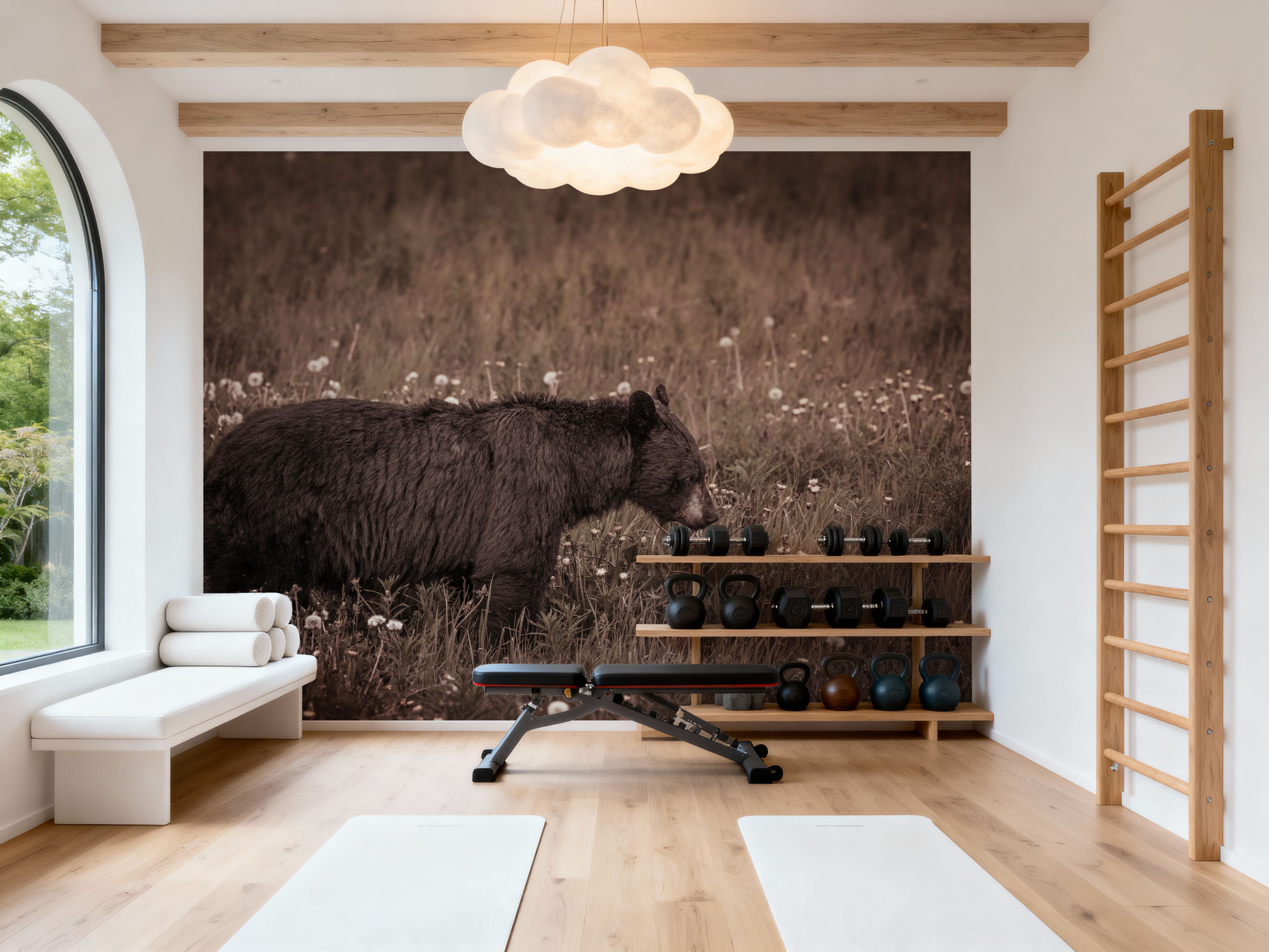 Black Bear Meadow