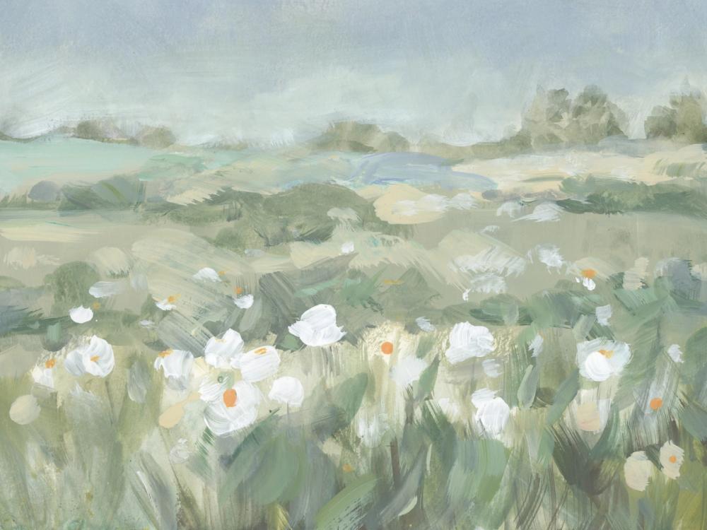 Field of White