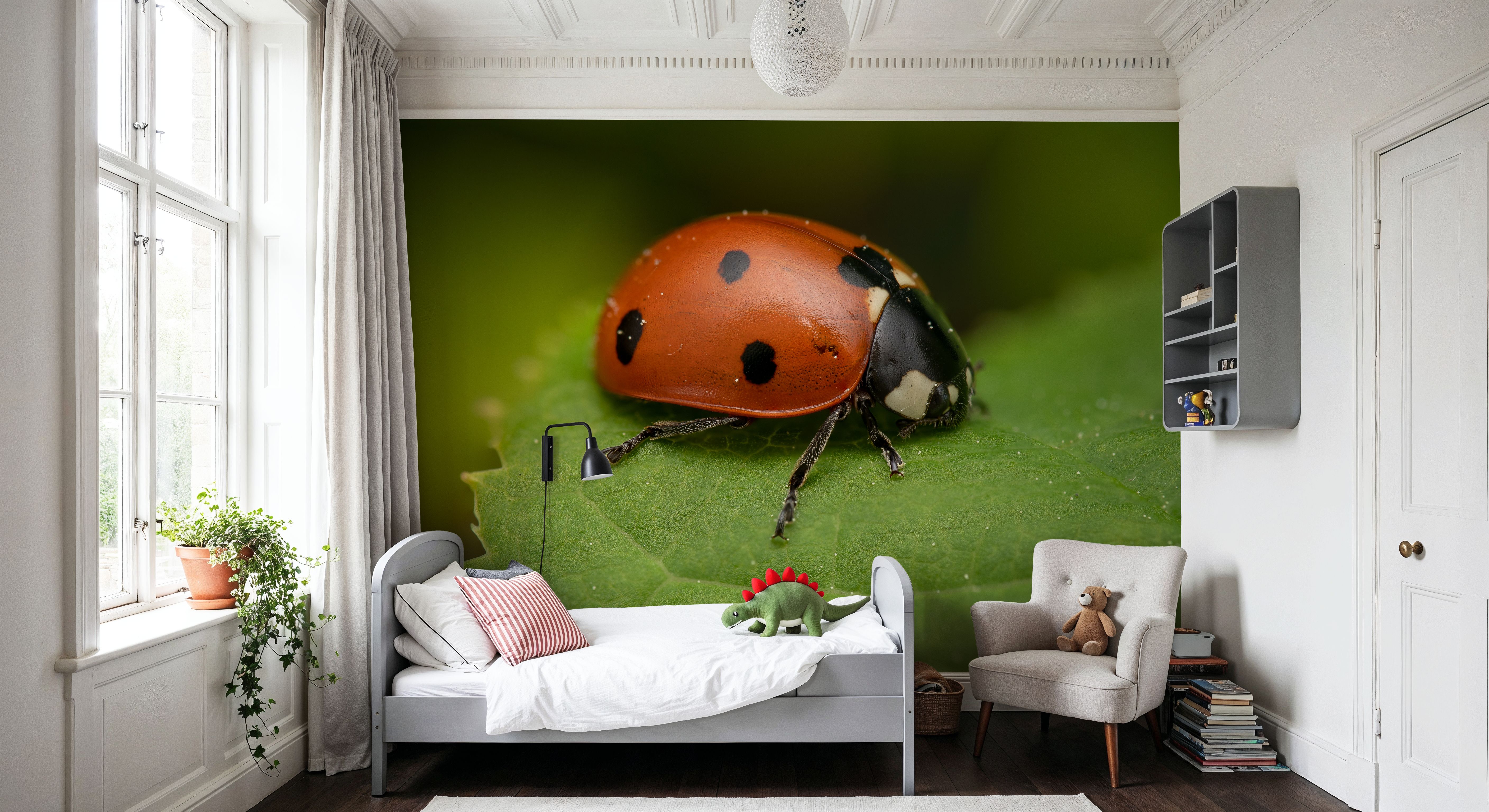 Ladybug on Leaf