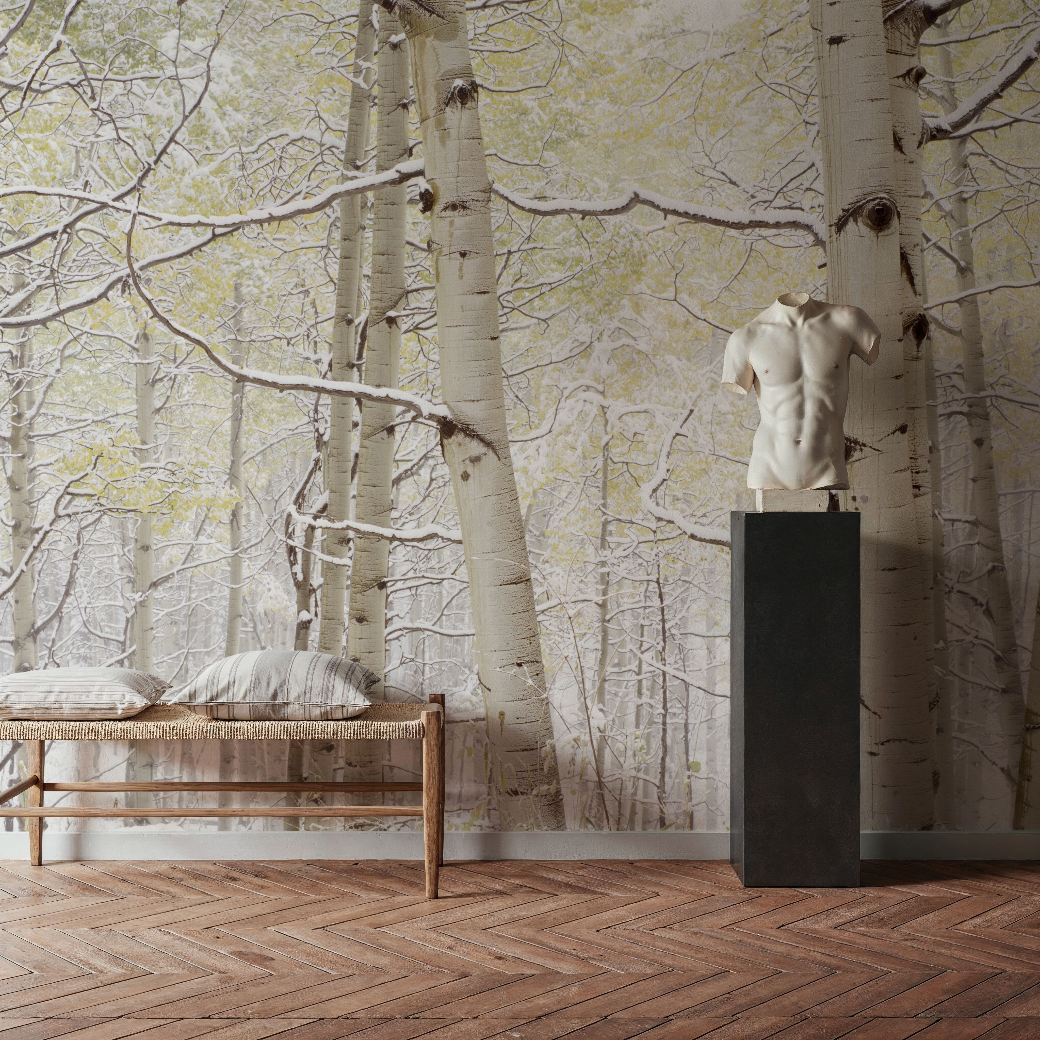 Winter Birch Forest