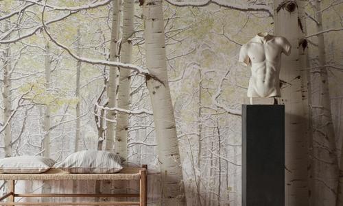 Winter Birch Forest