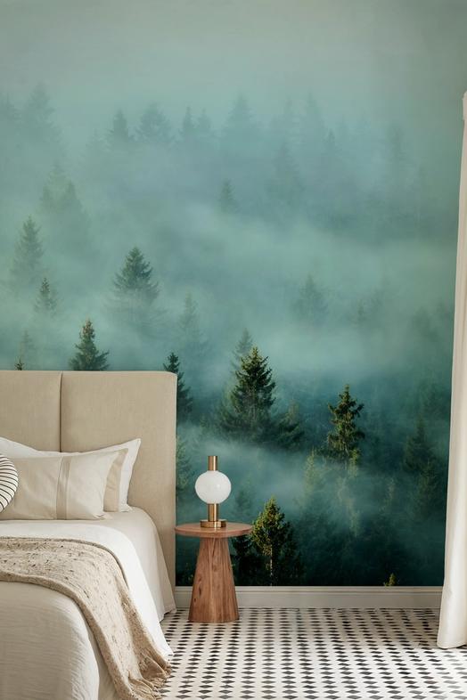 Morning Light and Fog