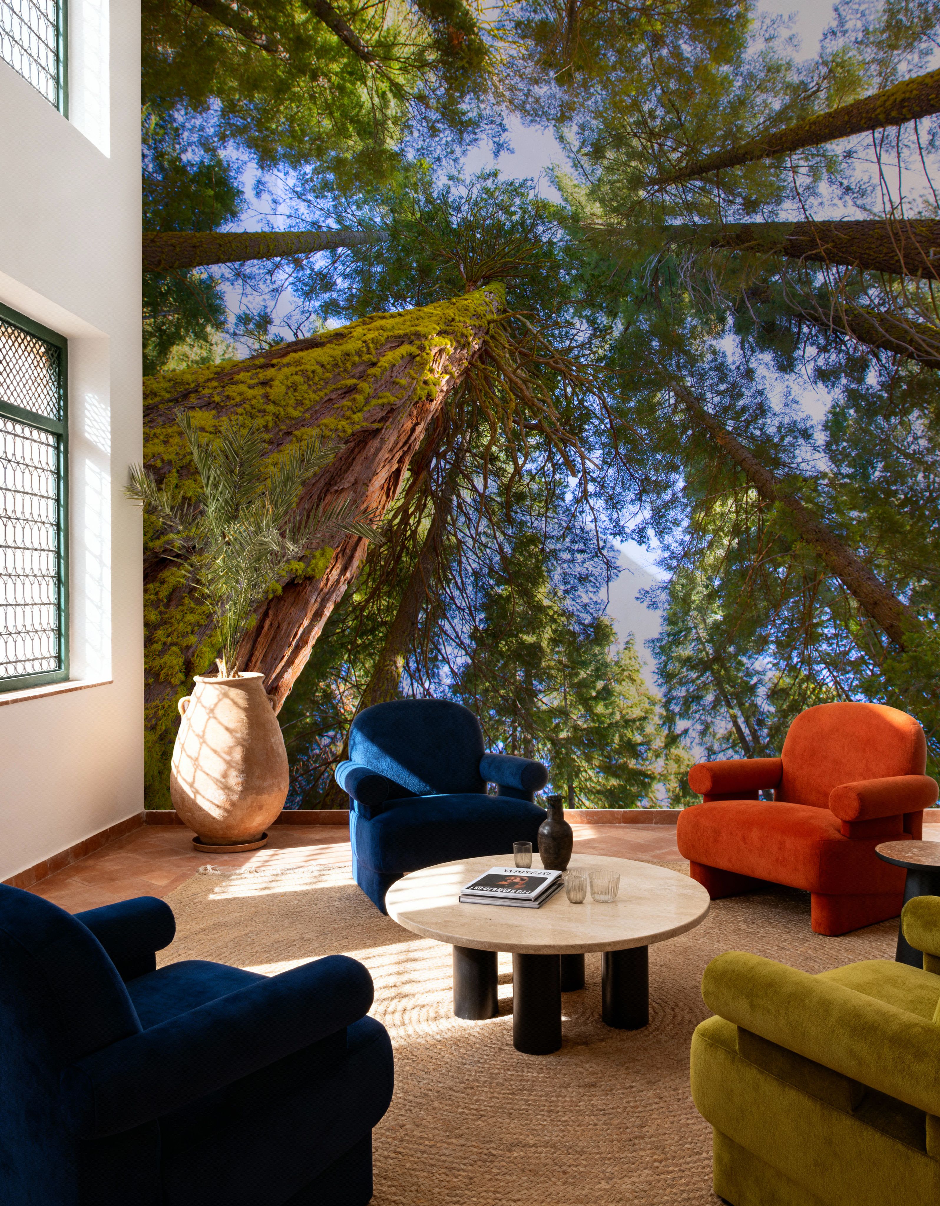 Sequoias