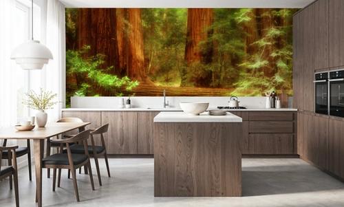 Ancient Redwood Sanctuary
