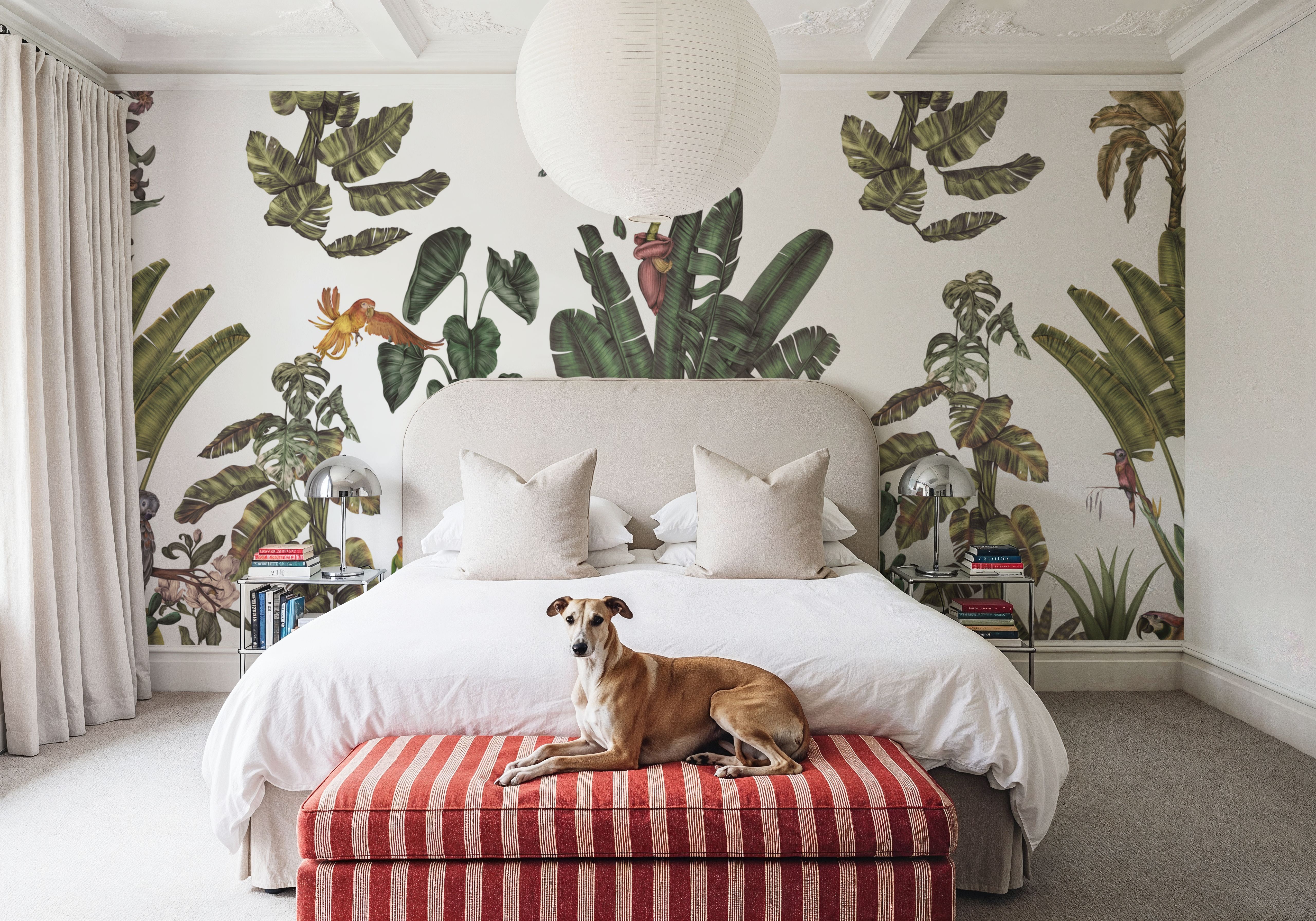 Parrots Jungle, Green