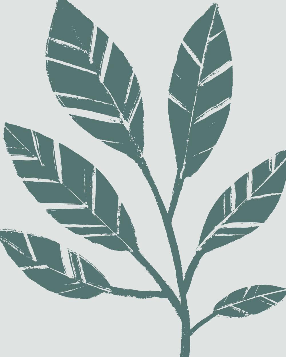 Botanical Sketches III Green