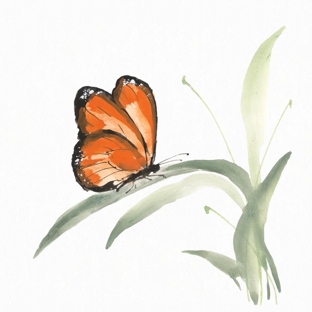 Butterfly Orange II