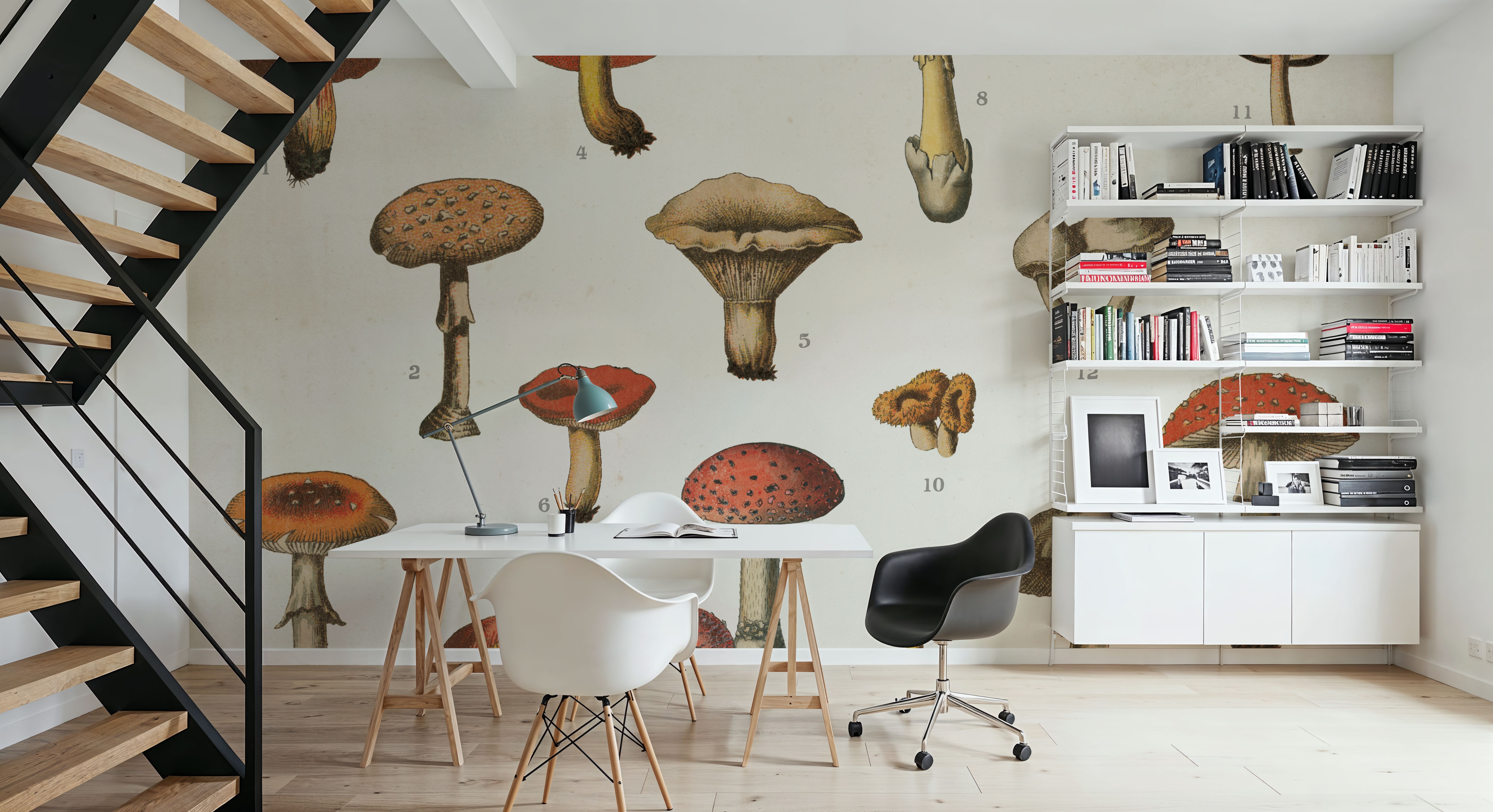 Mushroom Chart I light