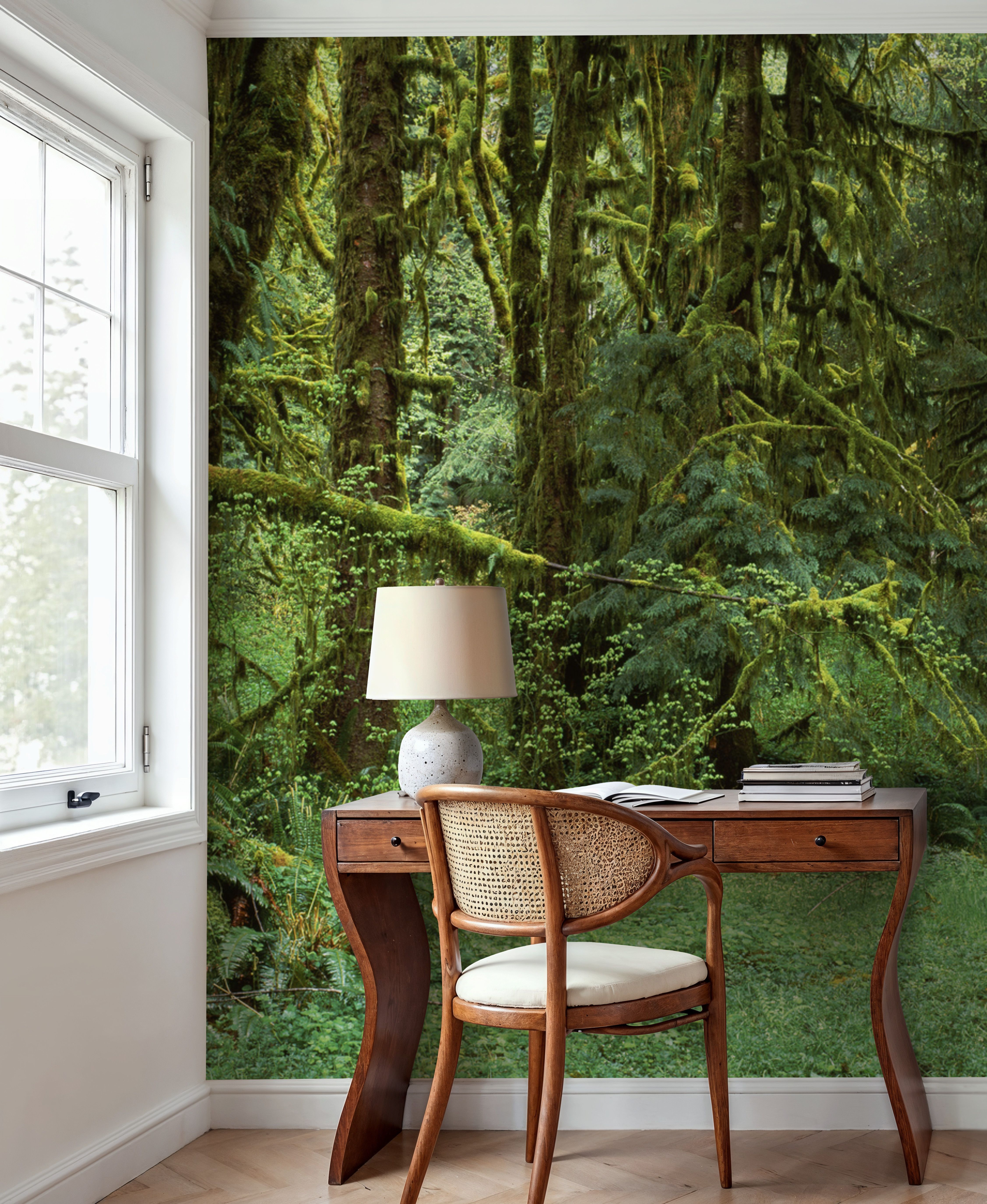 Hoh Rain Forest, Washington State