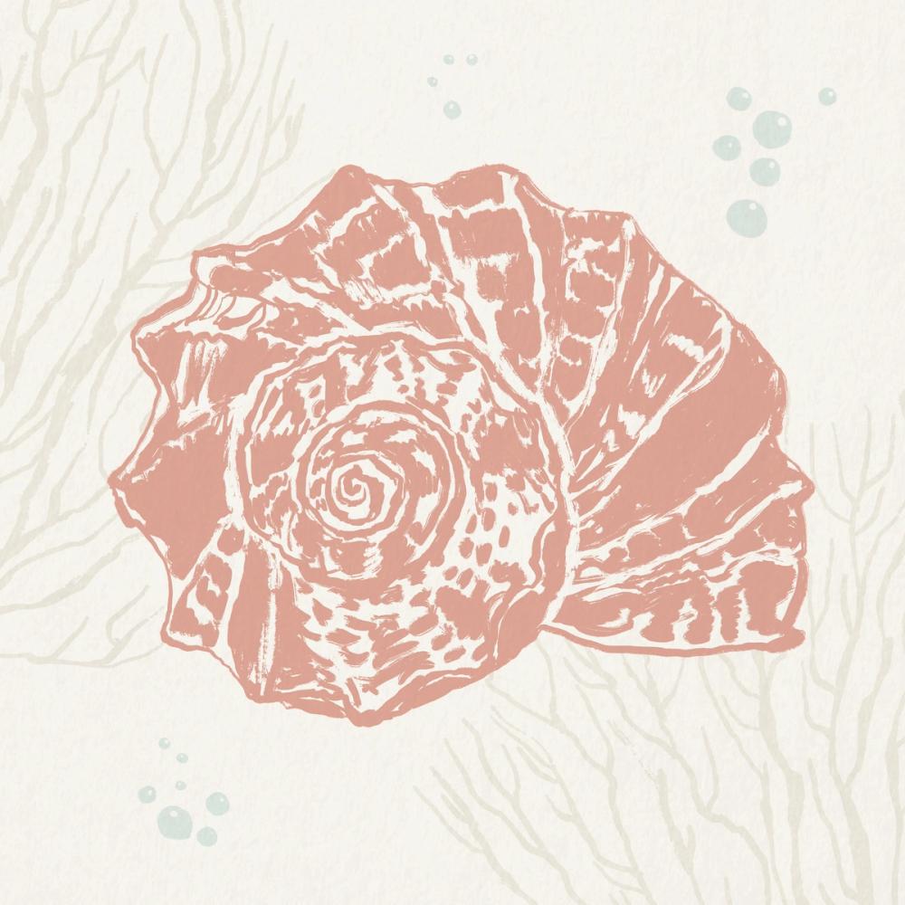 Seaside Shell