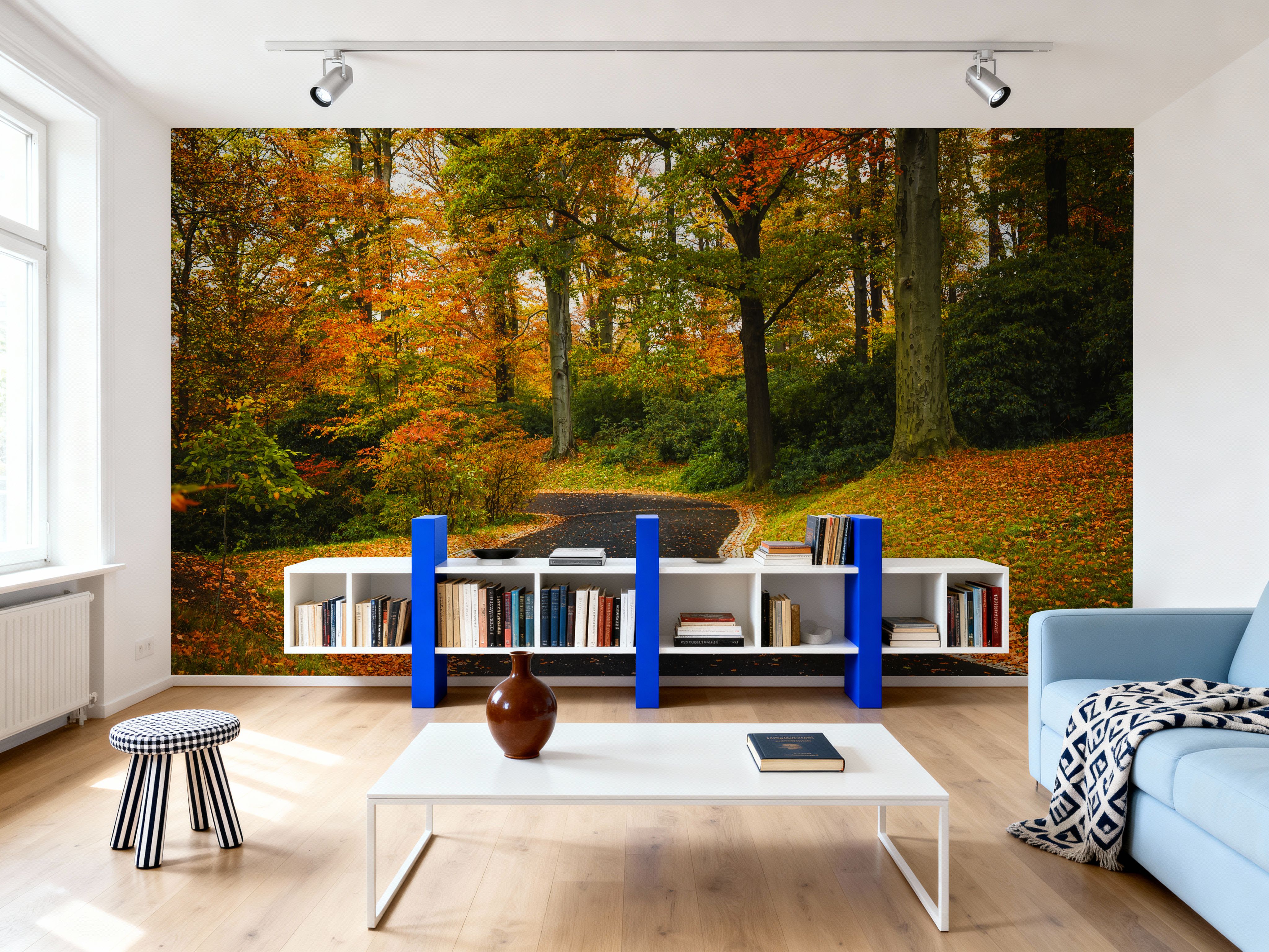 Morning Walk in the Park