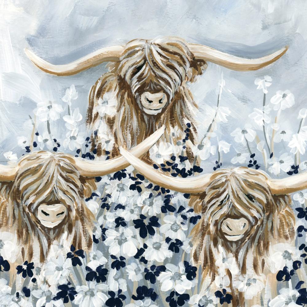 Highlands in the Meadow