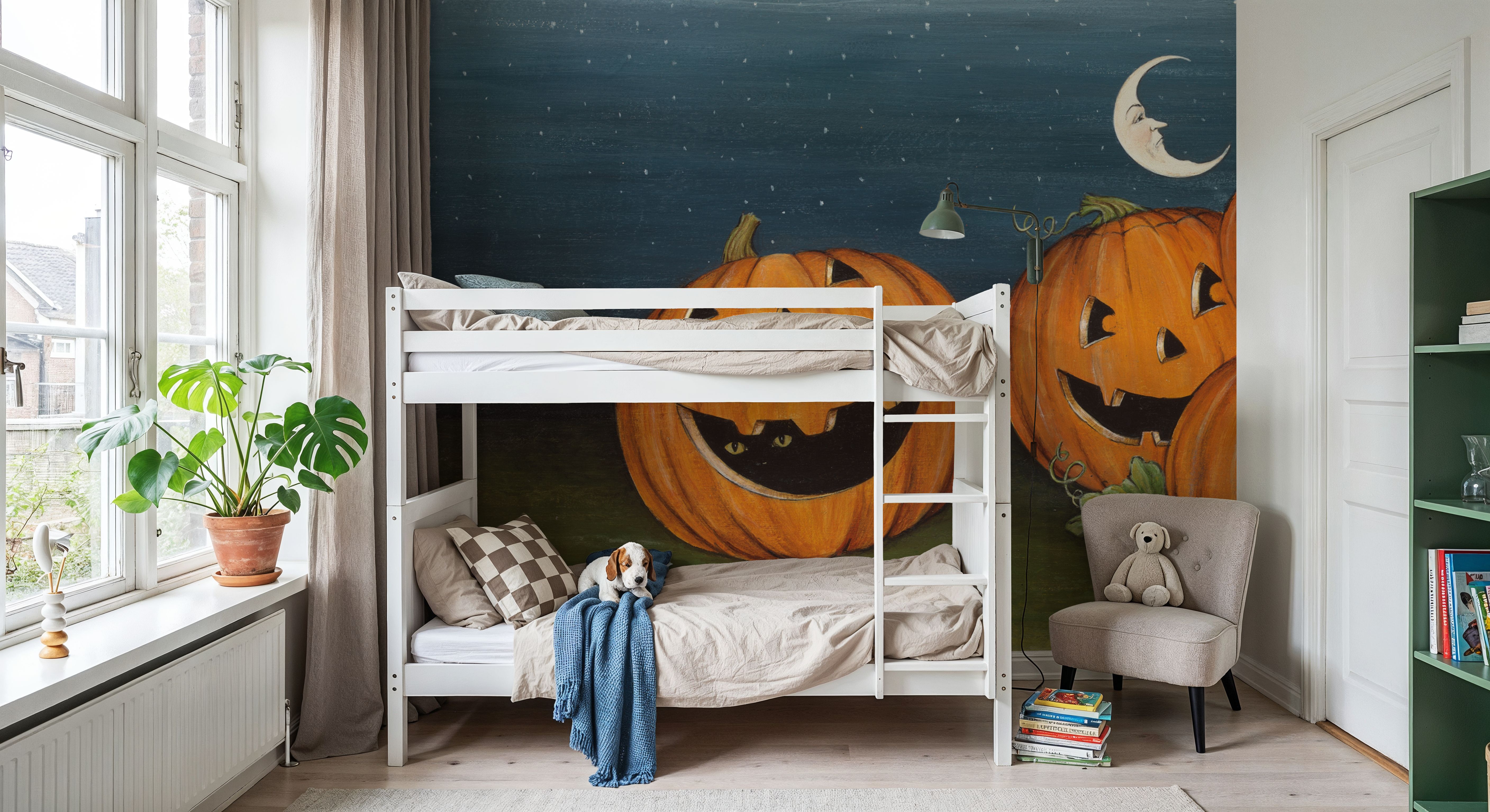 Pumpkin Patch