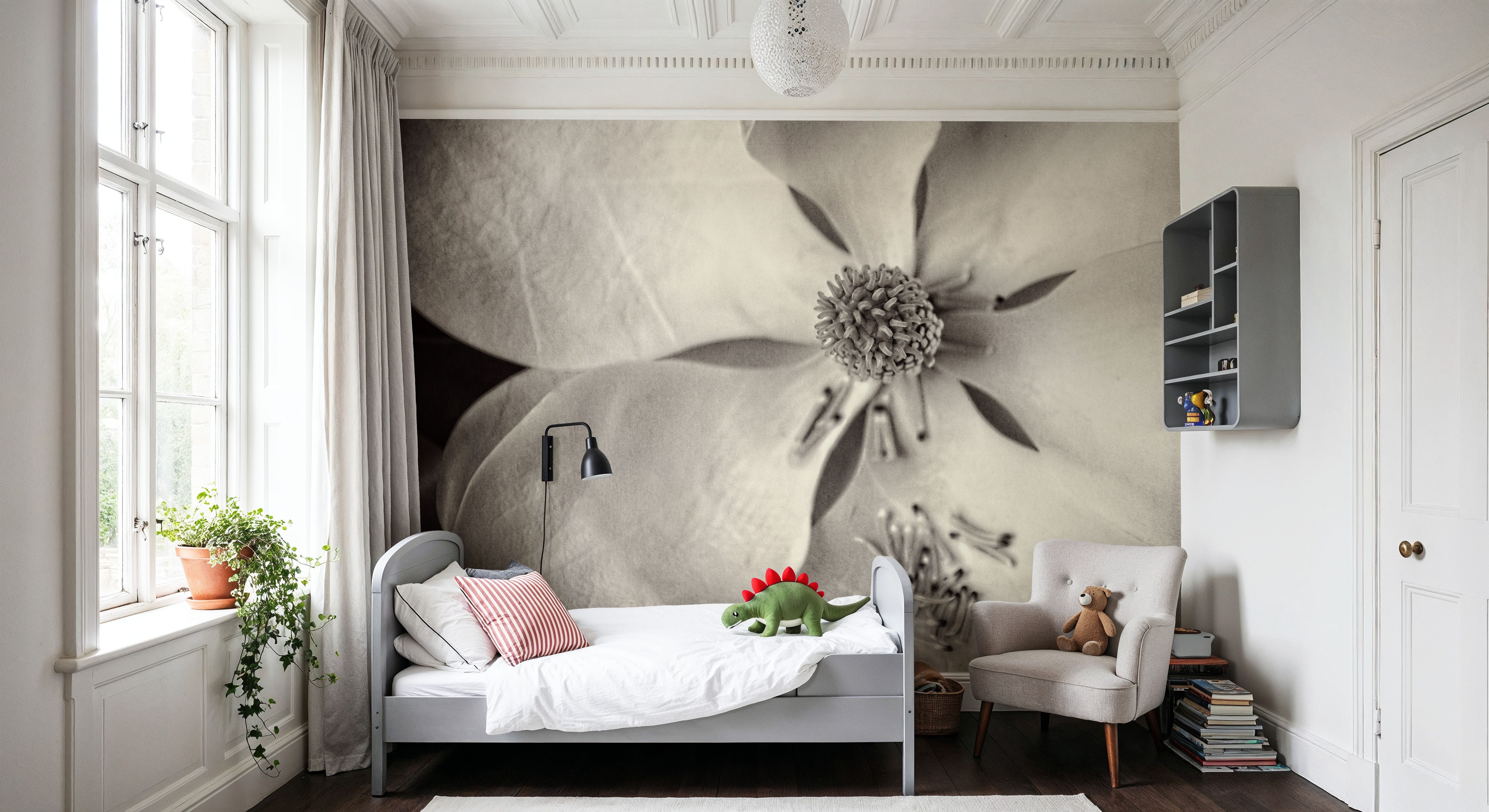 Moonlit Magnolia II