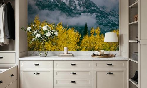 Grand Teton Fall