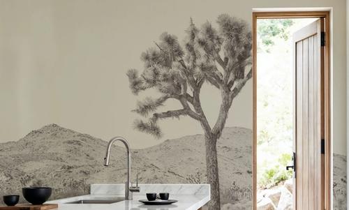 Joshua Tree Focus
