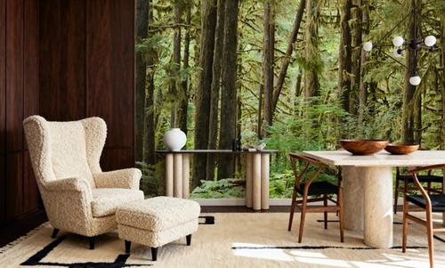 Bright Quinault Rainforest