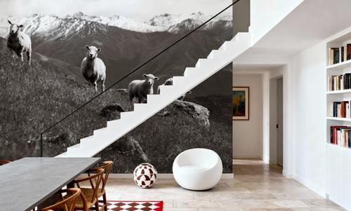 Wanaka Sheep III