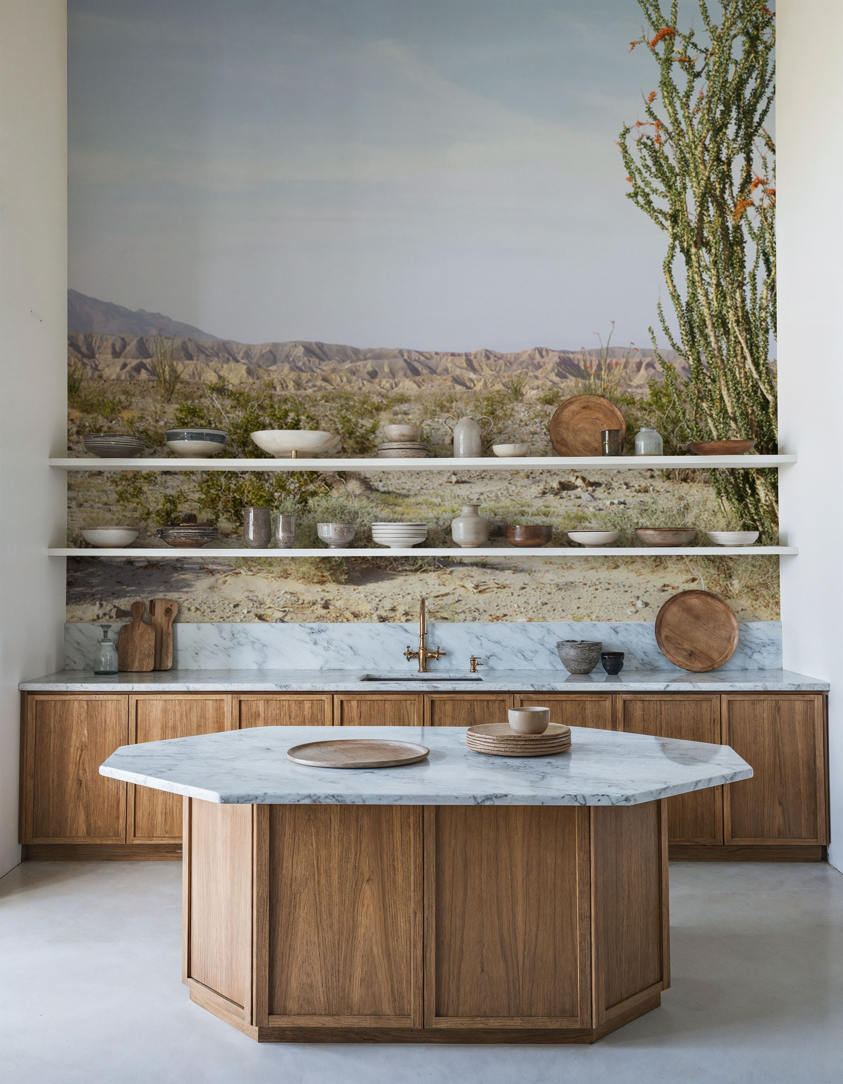 Desert Ocotillo