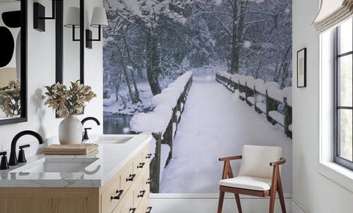 Winter Bridge Serenity