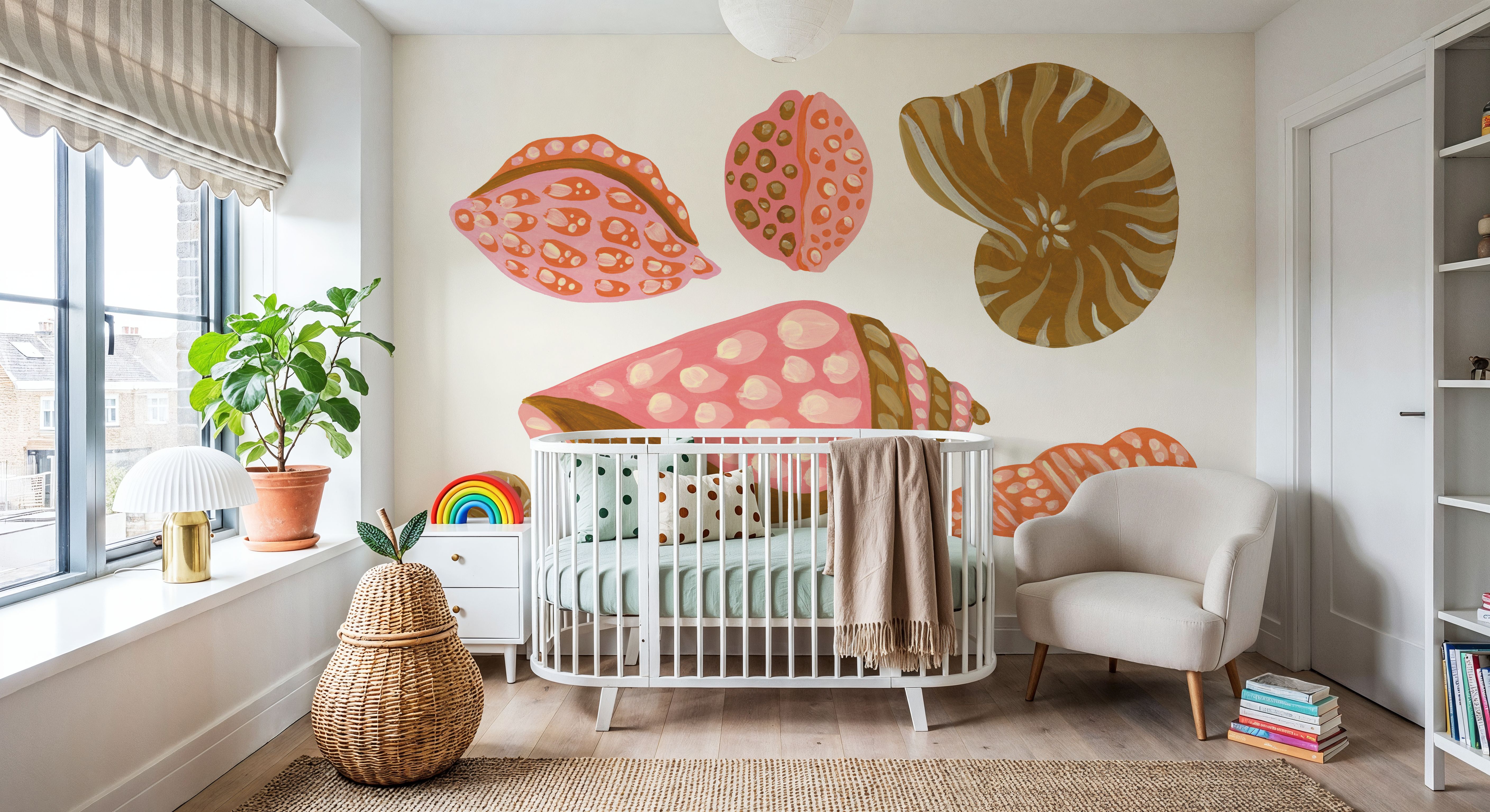 My Tropical Shell Collection I