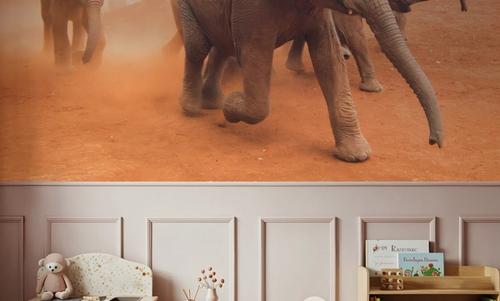 Elephant Race