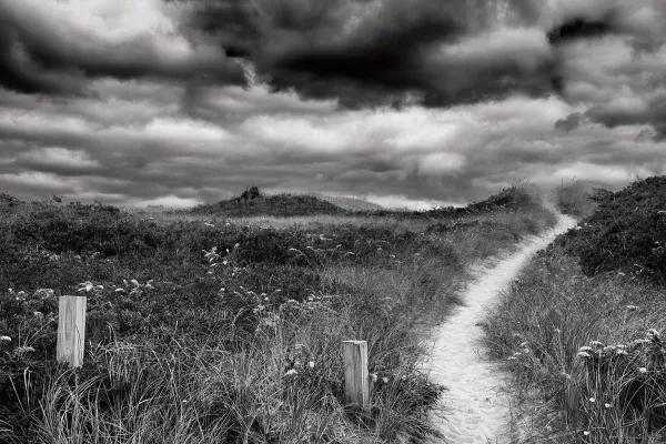 Nantucket Pathway premium wallpaper mural | Shop tailored walls on ...