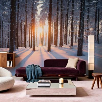 Snowy Woods at Sunset