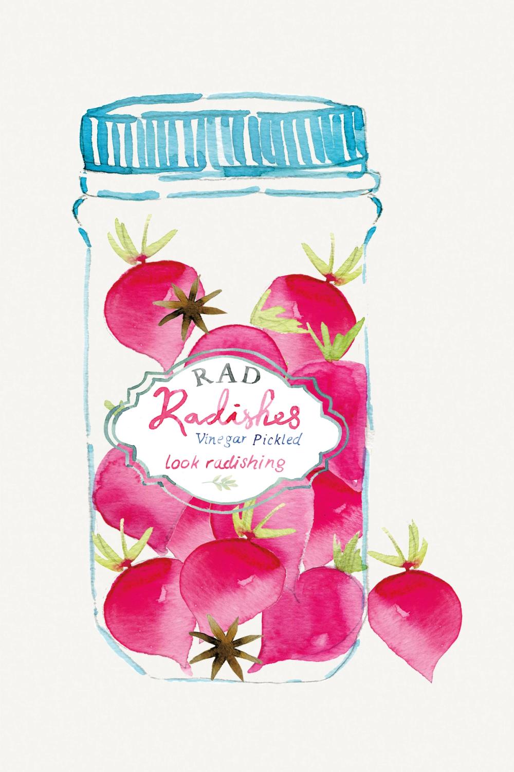 Jarred Radishes