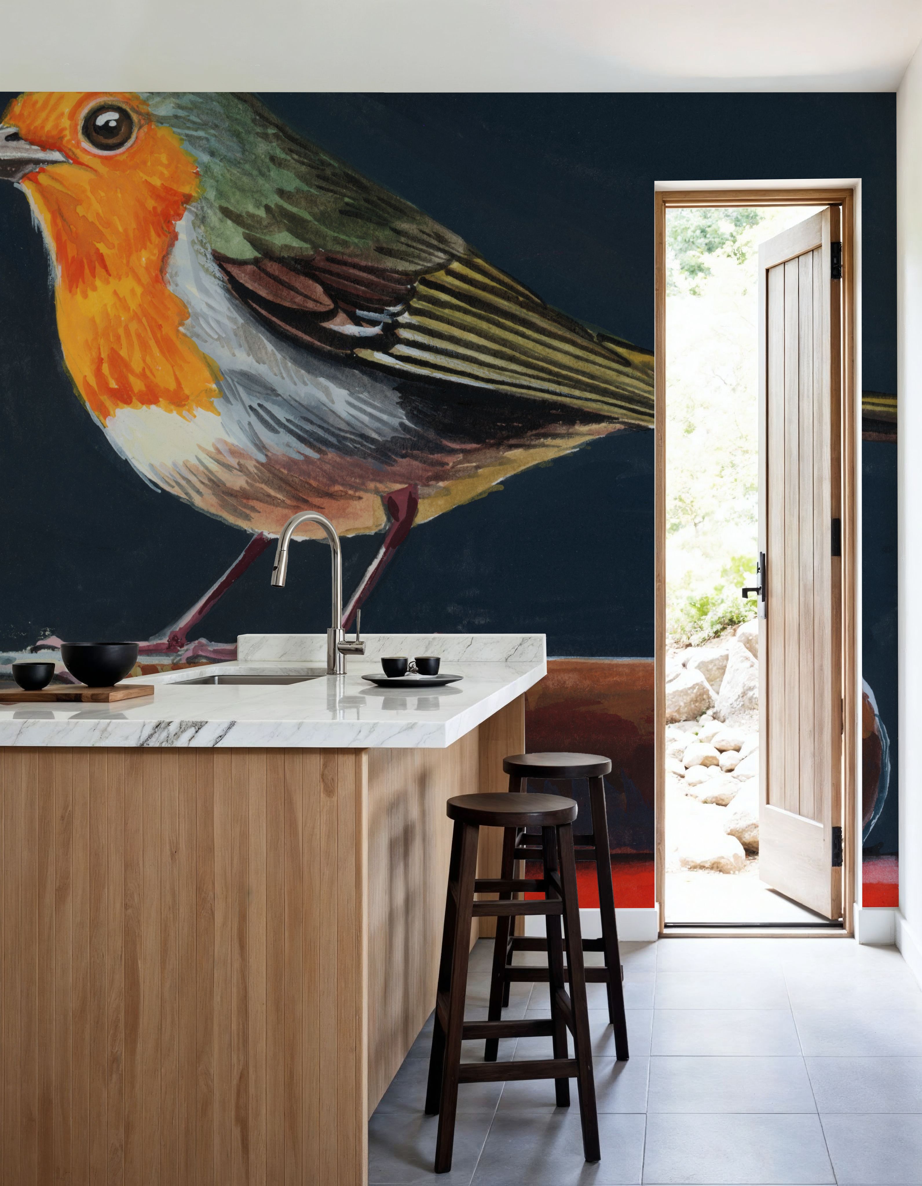 Academia Bird Study