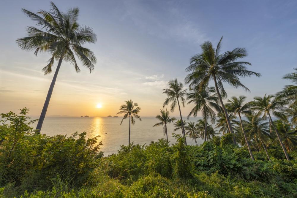 Golden Paradise View