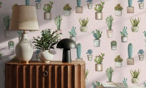 Mixed Cacti Pink