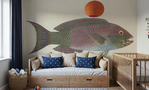 Parrotfish