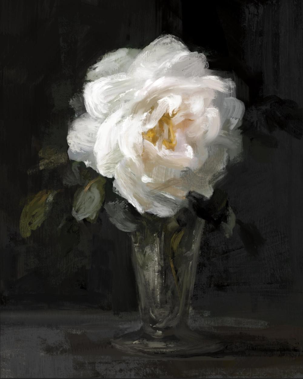 White Rose In a Glass Vase
