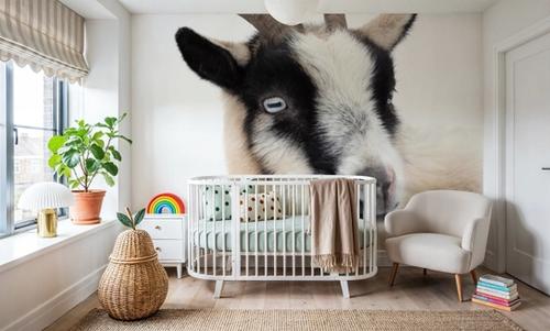 Pippa the Goat I