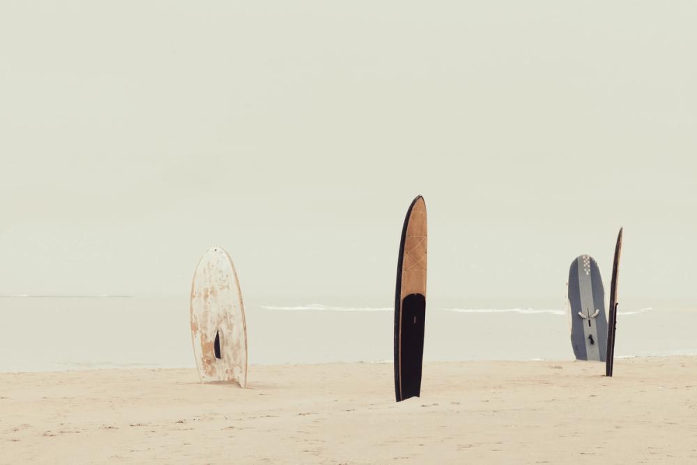 Long Boards IV
