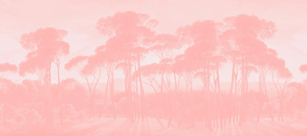 Mediterranean Pine Landscape, Blush