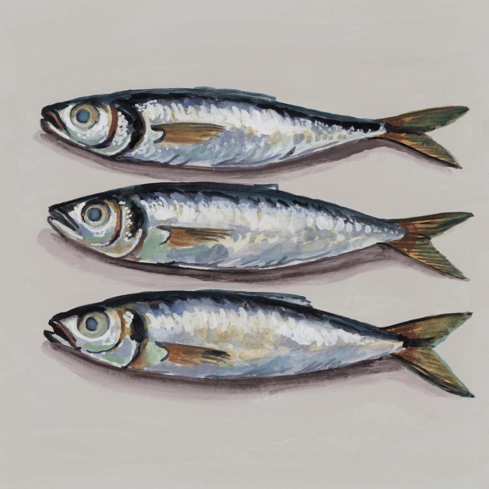 Three Little Fishies Neutral