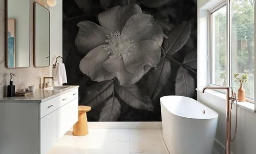 Wild Rose BW I