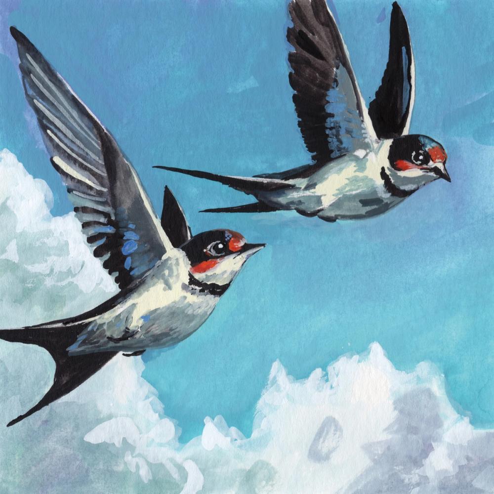 Two Birds in The Clouds